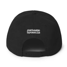 Load image into Gallery viewer, Snapback Hat (Bitcoin)
